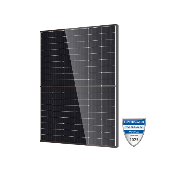 DMEGC DM450M10RT-B54HBT