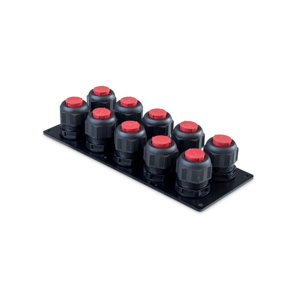 Daisy Chain RF Argeno